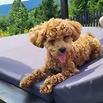 Alemiło Mini - Z Balią I Widokiem Na Babią Górę Сasa de vacaciones *
