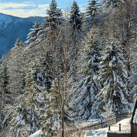 Alemilo Mini - Z Balia I Widokiem Na Babia Gore